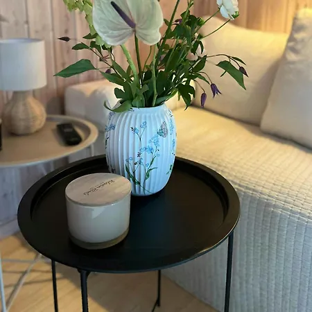 Modern Family House Near Mon Harbour * Ore